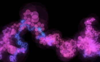 Bloom 2 Bloom 2